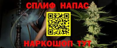 шишки Конаково