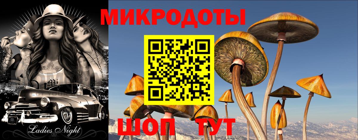 Псилоцибиновые грибы Psilocybe  Псилоцибиновые грибы MAGIC MUSHROOMS  Канаш  Вход с VPN 